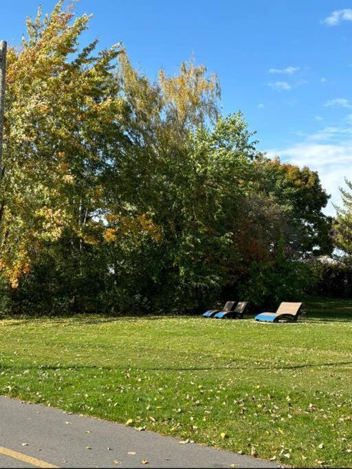 Cozy Spacious Work Friendly Lotus With Garden View High Speed Free Wi Fi And Parking Adjacent To Downtown Montreal Bagian luar foto